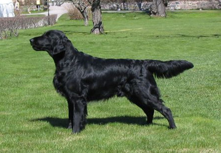 EE CH INT UCH NORD UCH Almanza Certain Timing